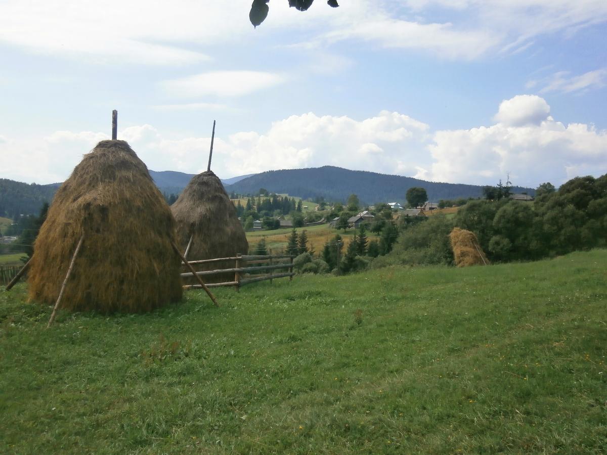 Na Gorbochku U Natali Vorokhta Exterior foto